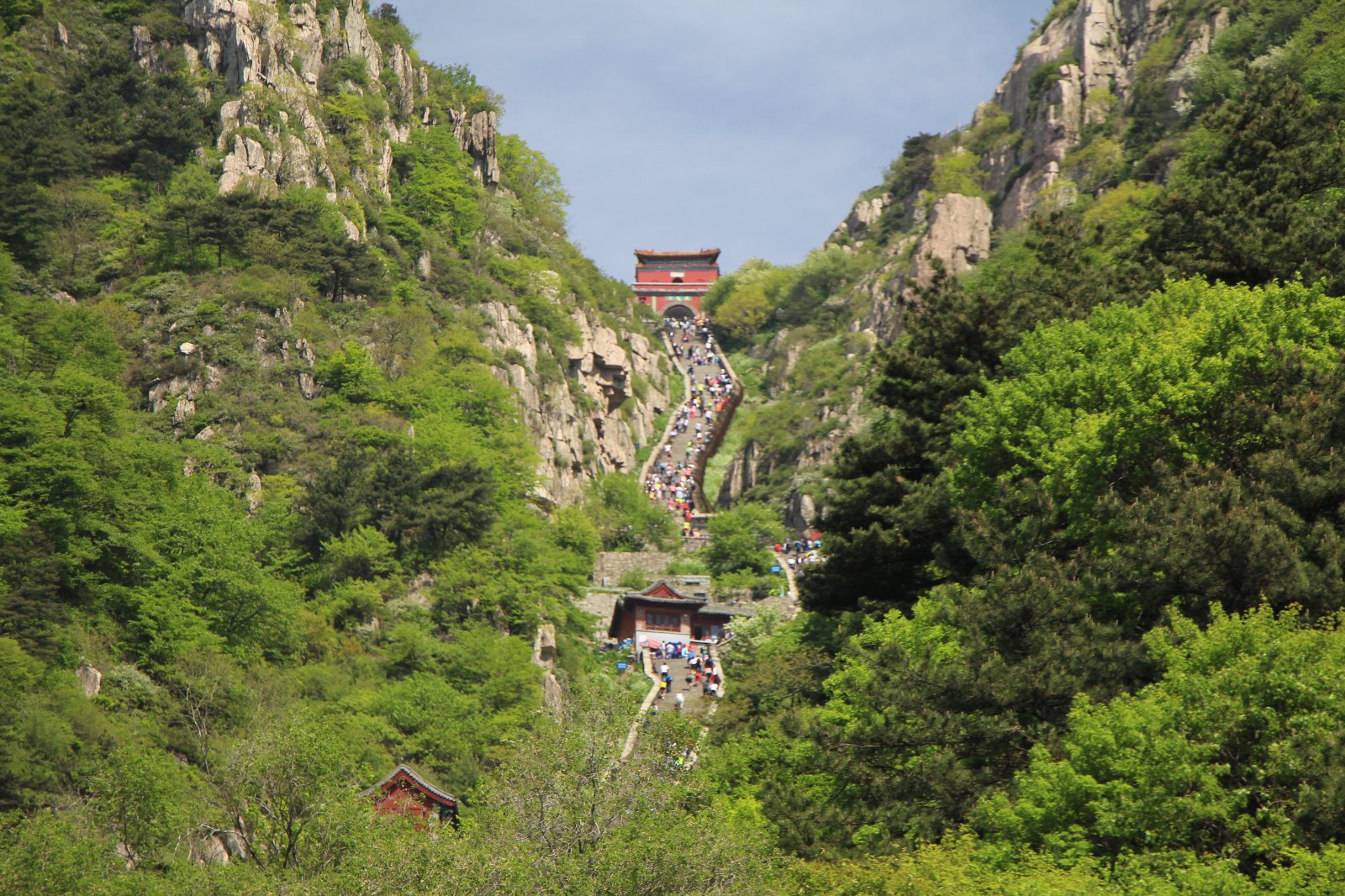 女孩从垃圾桶捡3根登山杖爬泰山