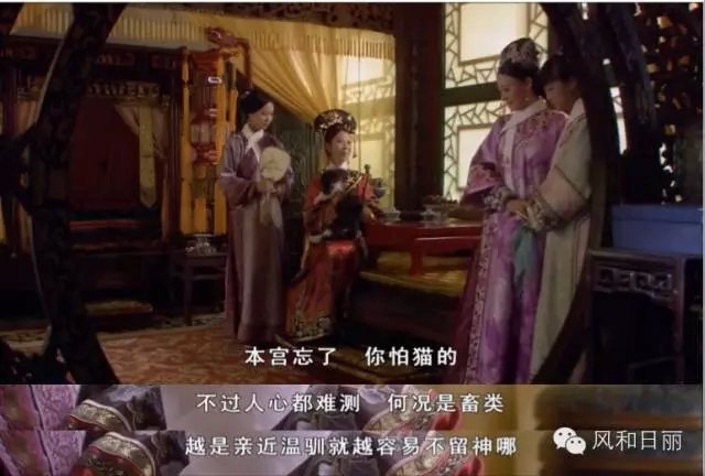 甄嬛公关传_|_后宫嫔妃的七夕公关大战 甄嬛公关传_|_后宫嫔妃的七夕公关大战