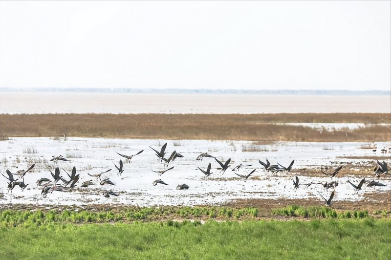 如何有效避免网站过度优化?(百度SEO优化的5个诀窍及长尾增加方法) 如何有效避免网站过度优化?(百度SEO优化的5个诀窍及长尾增加方法)