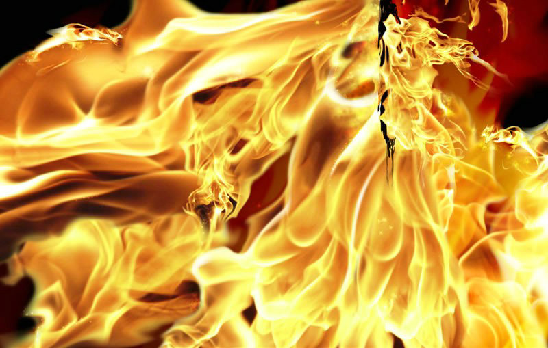 蜘蛛池对网站有啥影响（蜘蛛池对网站有用吗）