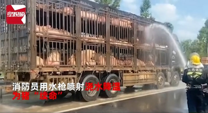 网站SEO优化排名的步骤(实用技巧帮助你提高网站排名) 网站SEO优化排名的步骤(实用技巧帮助你提高网站排名)