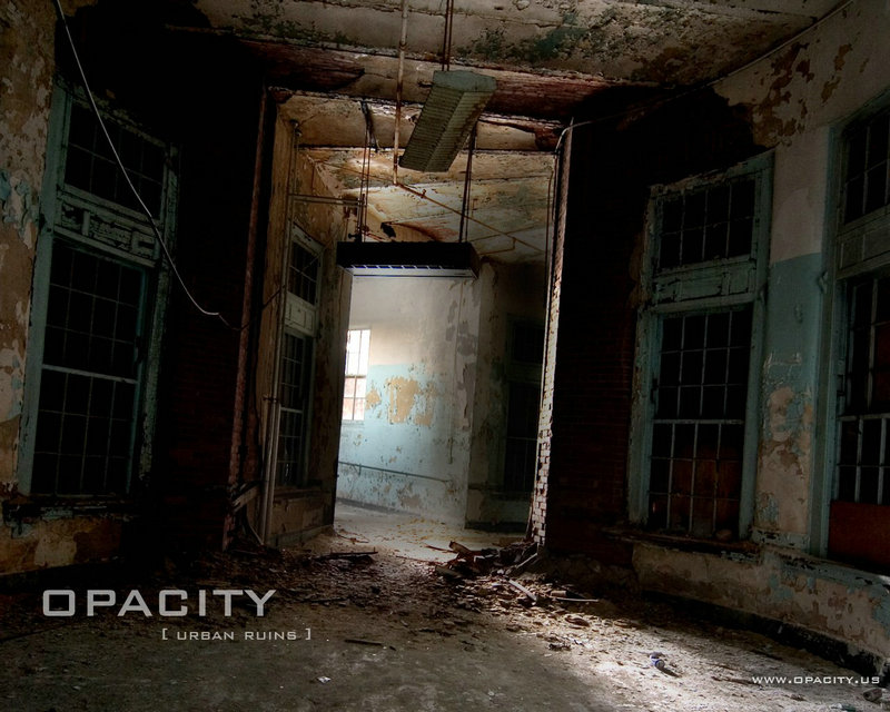 免费python在线网站5