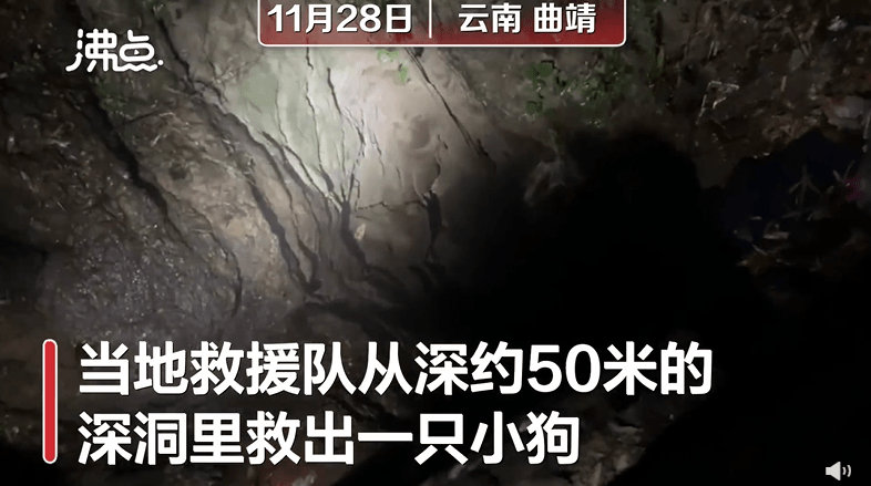 网站SEO优化的方法（提高排名和流量的技巧与实践）