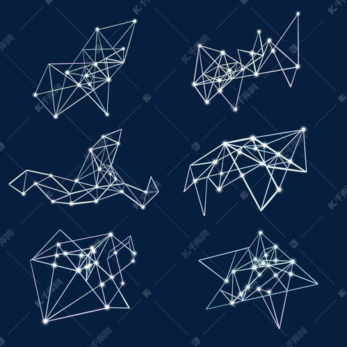 万茜老公的个人资料简介