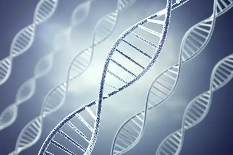 掌握SEO排名优化的技巧（提升网站排名）