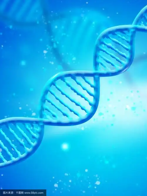 如何遵守SEO规则提高关键词排名（8个提高关键词排名的技巧）