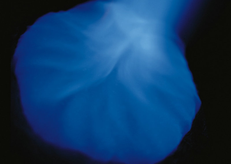 网站建站收费多少元