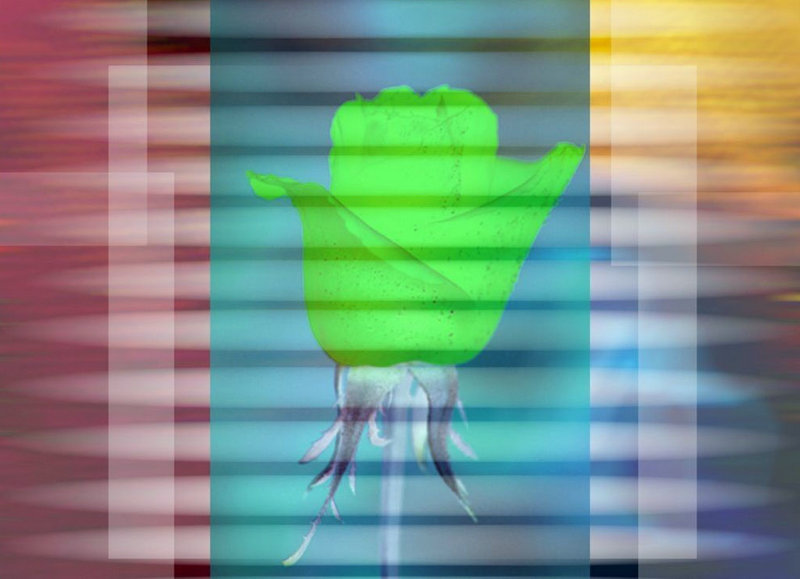 丰润商贸盘古建站