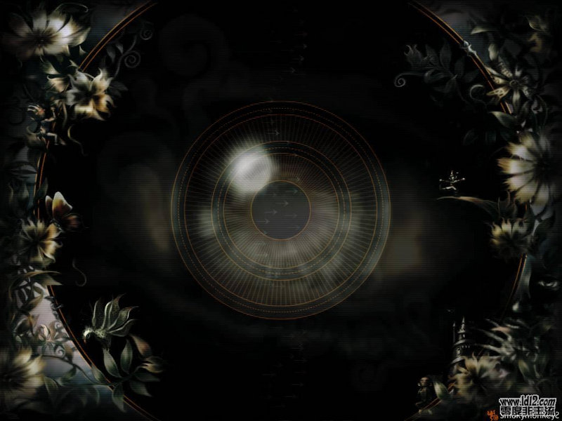 石头科技COD建站系统 石头科技COD建站系统