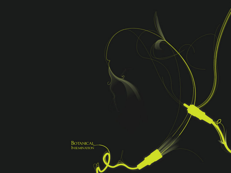 seo快照推广排名 seo快照推广排名