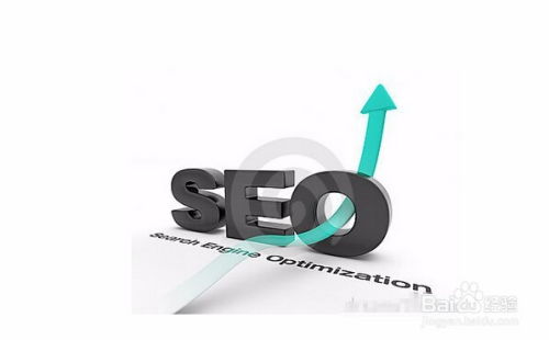 保定做seo优化 保定seo外包平台