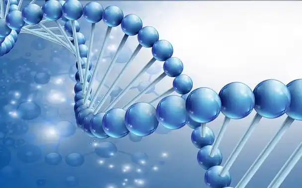 营销网站建设制作方法