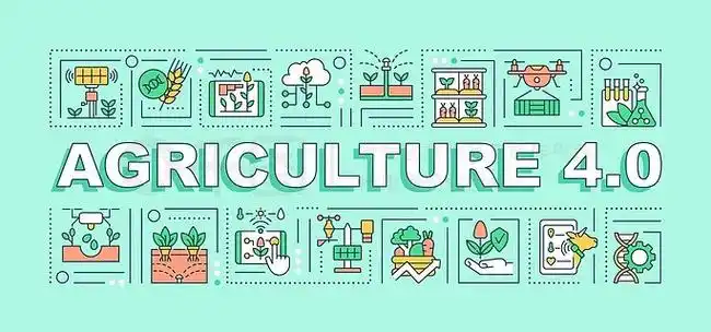 网站排名优化的作用(让你的网站在竞争中脱颖而出) 网站排名优化的作用(让你的网站在竞争中脱颖而出)