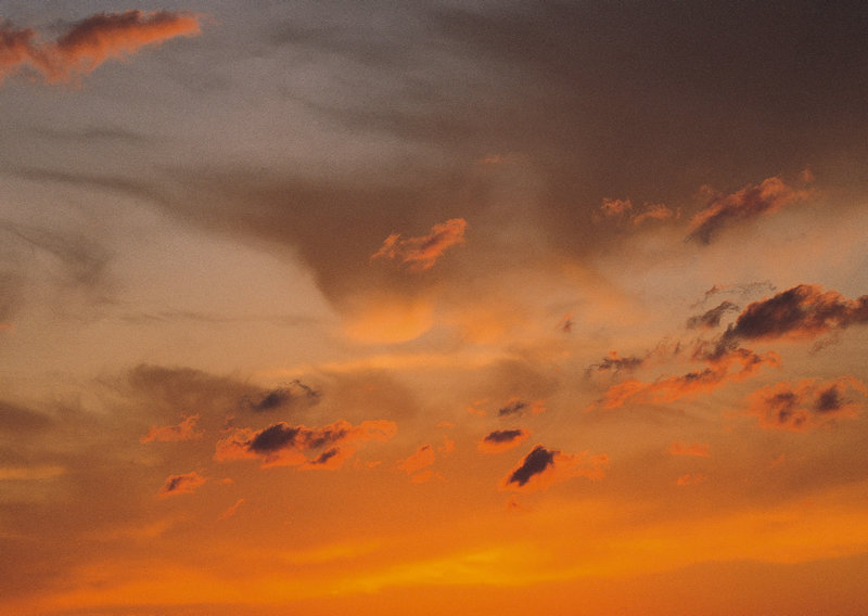 郑州网络推广代理公司